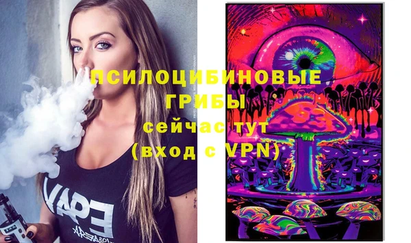 стафф Арсеньев