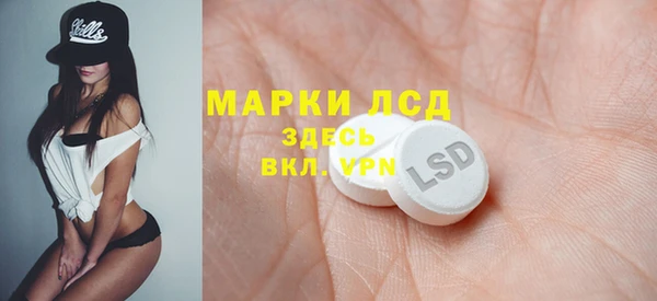 стафф Арсеньев