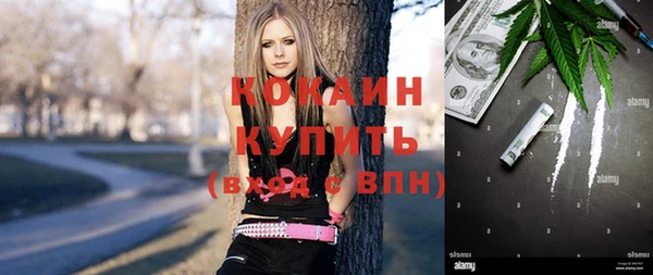 стафф Арсеньев